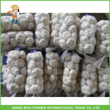 New Crop Normal White Garlic Fresh Garlic Price